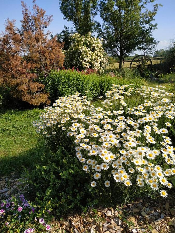 Les Bienfaits D'Harmonium Bed & Breakfast La Chapelle-Gaudin Dış mekan fotoğraf